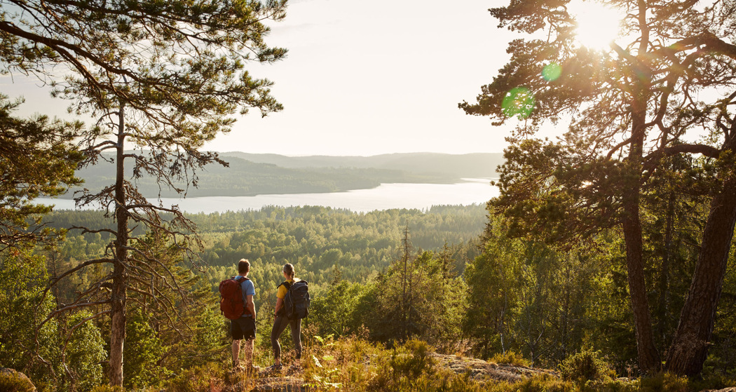 Baljåsen