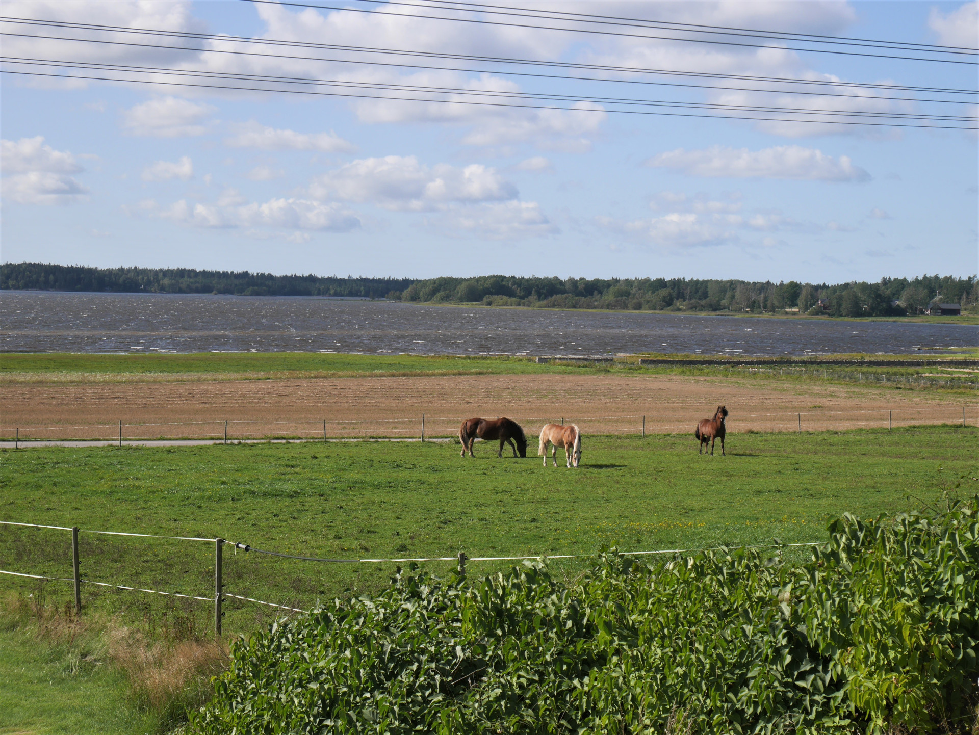 Siviken - Hästefjorden