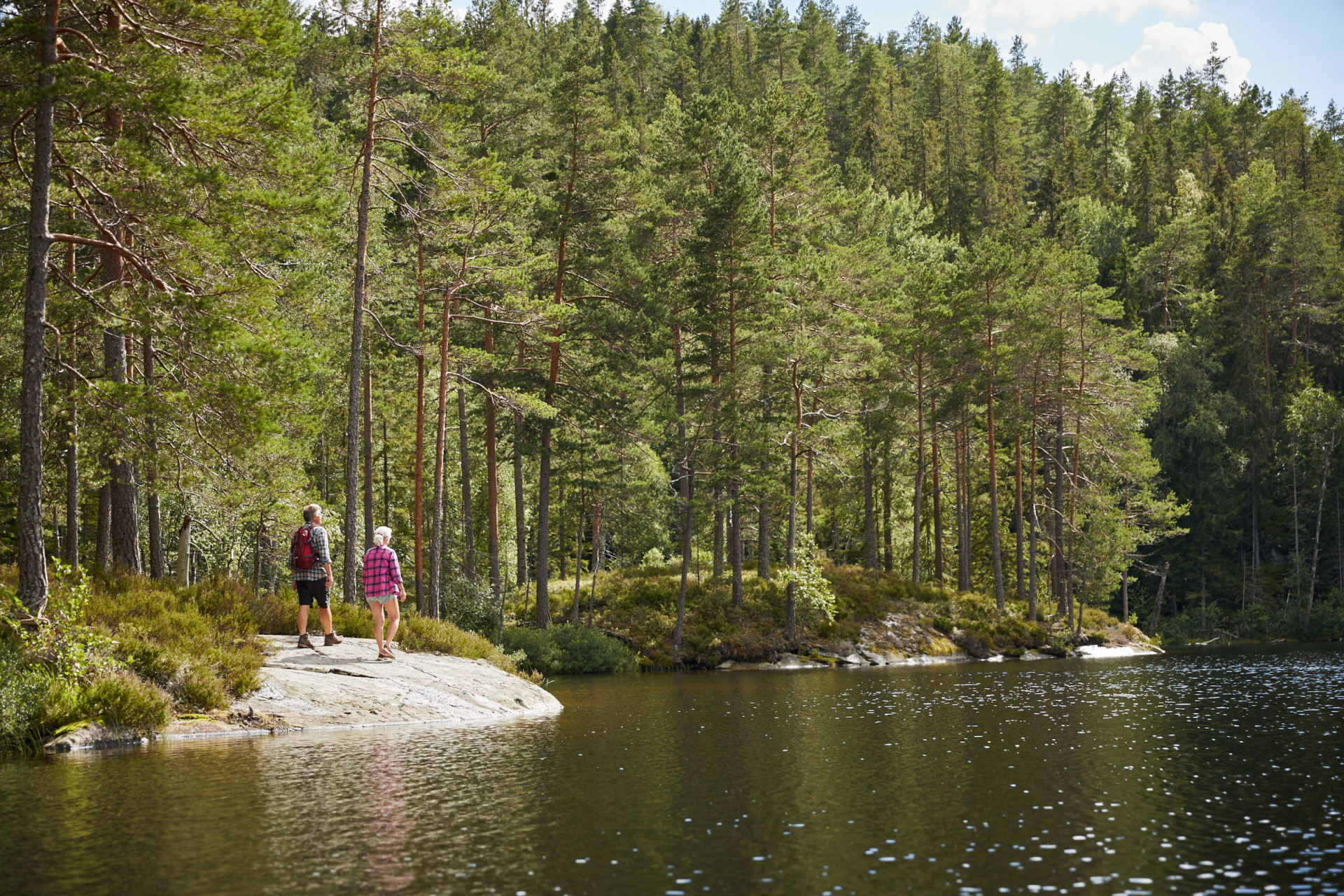 Vandrare vid sjö
